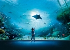 acquario-di-genova-italy-1